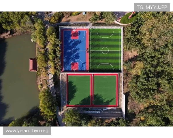 八里台体育公园项目完工后的使用效果与公众反馈,评估其对城市体育文化发展的促进作用
